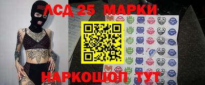 mdpv Ярославль