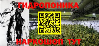 mdpv Ярославль