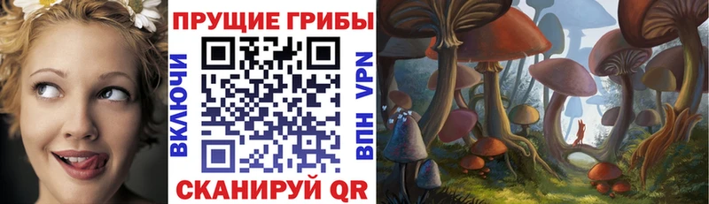 Галлюциногенные грибы мицелий  Новомосковск 