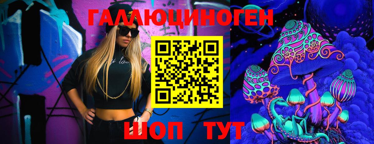 Новомосковск  Псилоцибиновые грибы прущие грибы  Вход с VPN  Псилоцибиновые грибы Psilocybine cubensis 